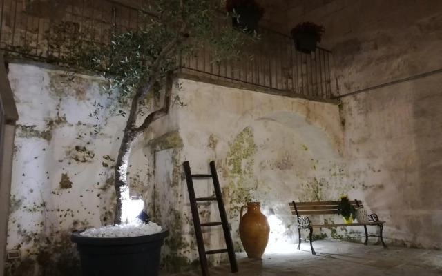 Sassi Sotto Le Stelle