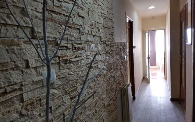 B&B Panoramic