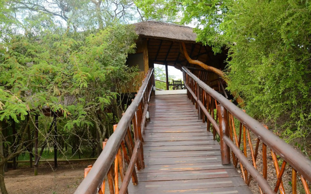 Pezulu Tree House Lodge
