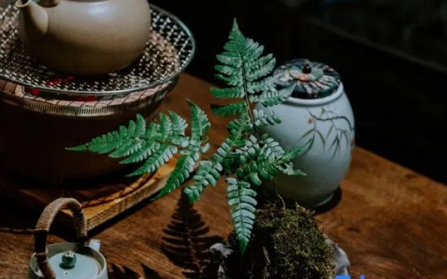 Xipu Boutique Hostel