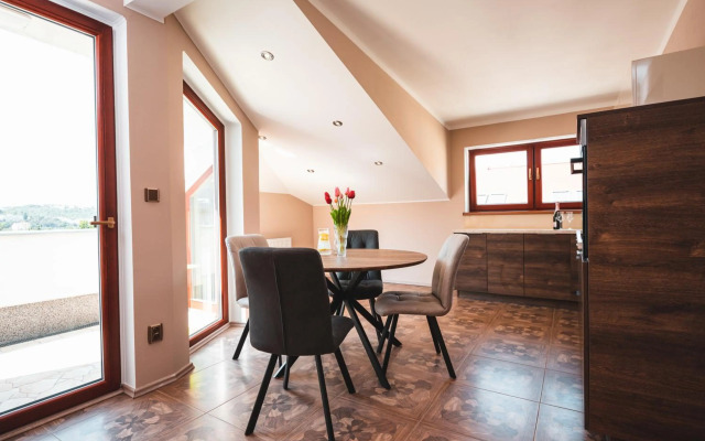 POINT flat, beautiful view from terrace to Prague Castle