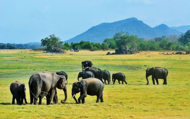 Sigiriya Kingdom Gate Hotel Dambulla