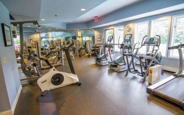 Sunrise Timberline G2