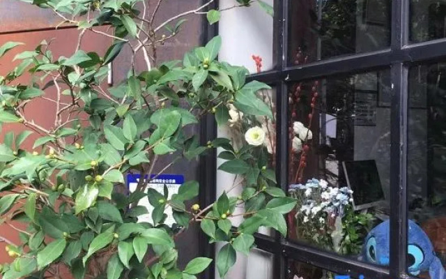 Sushujia Homestay (Zengxuan Branch, South Huandao Road, Xiamen)