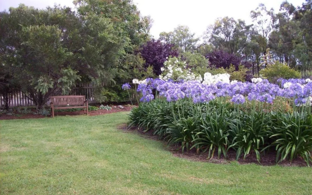 Starline Alpacas Farmstay Resort