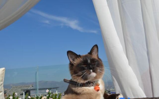 Dali's Early Dust Style · Life Aesthetic Designer