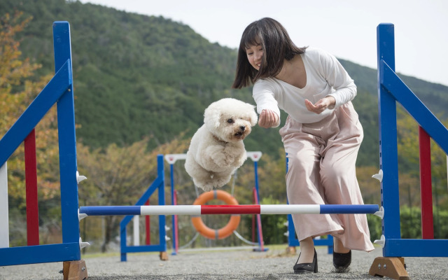 Matsusaka Wanwan Paradise
