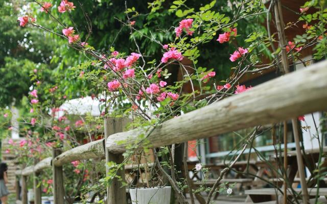 Wuyishan Old Street Hill Lodge