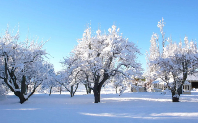 The Granary at Gunyah