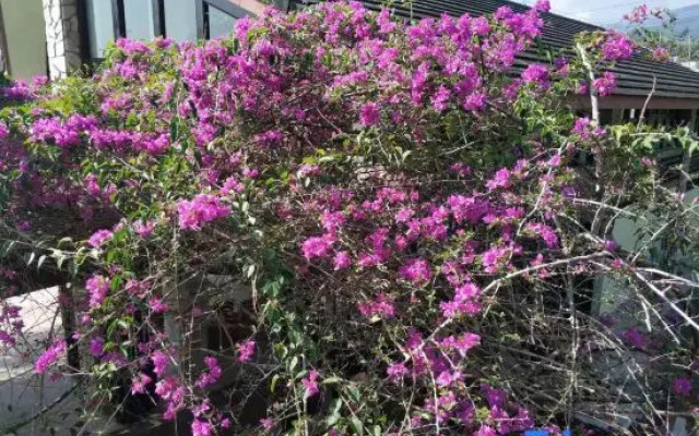 Nanmei Hot Spring Mountain Villa