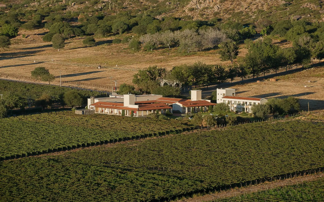 Viñas de Cafayate Wine Resort