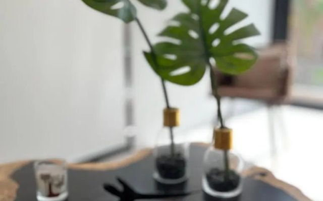 Xuncari Ecoluxury Living