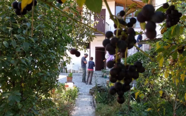 Nina B&B
