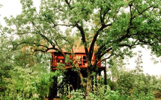 1 BHK Tree house in Bandhavgarh National Park, Umaria, by GuestHouser (6C62)