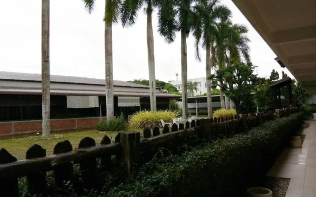 Palm Hug Resort & Camping Homestay