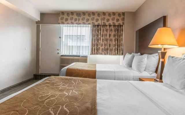 Comfort Suites Downtown