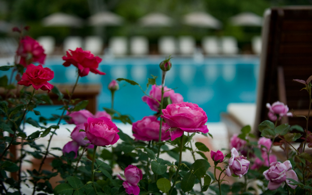 Dionysos Hotel