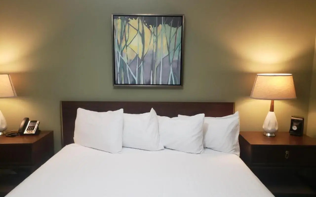 Hotel Hale - фото 2