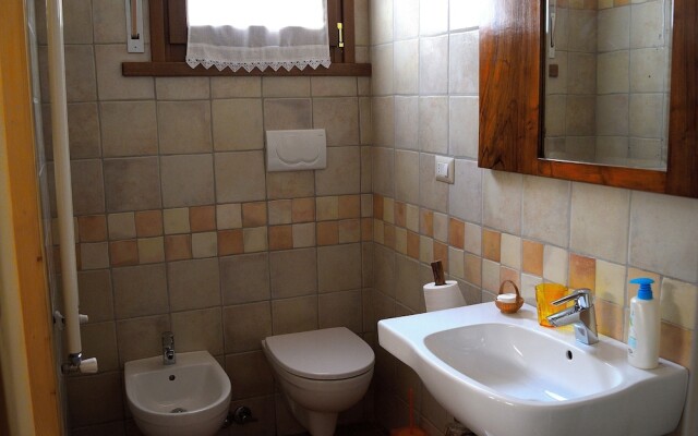 B&B Animali Selvaggi