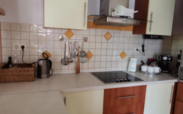 Private pool just for you Biograd