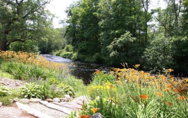 Little River Bed & Breakfast