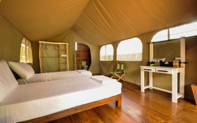 Wild Glamping