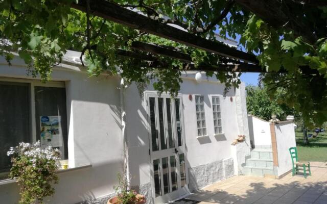 Il Giardino Fra Gli Ulivi