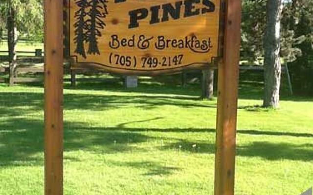 Twin Pines Bed & Breakfast