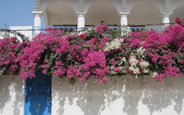 Maison Mbour