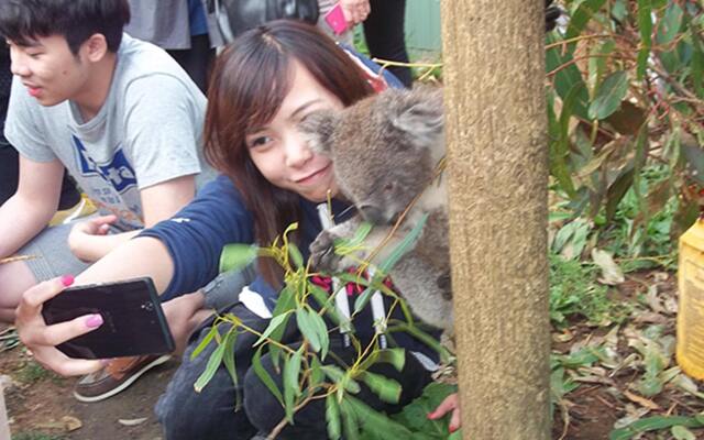 Fauna Australia Wildlife Retreat