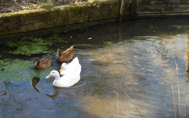Blaencwm Bed and Breakfast