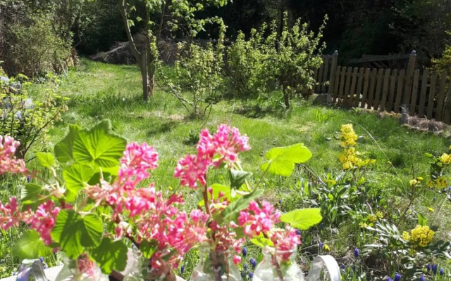 Villa Hanne mit Garten, Terrasse, Sky, Netflix
