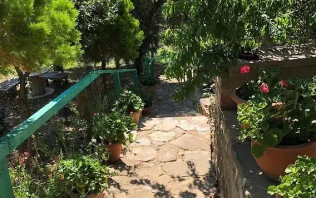Yesil Vadi Apart Pansiyon