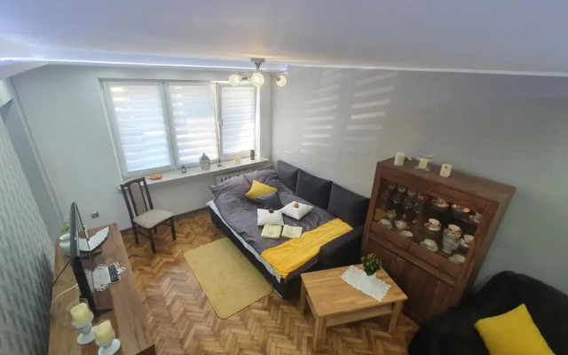 Apartament Park Saski