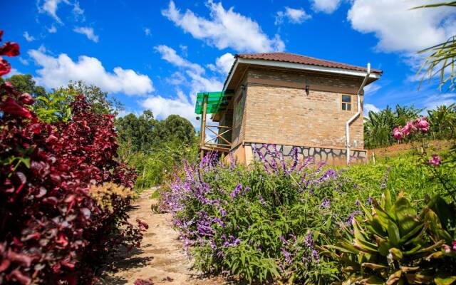 Apuuli Safaris & Cottages