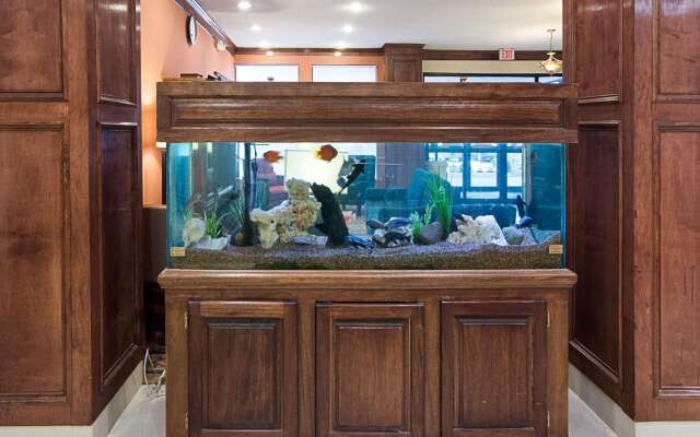 Comfort Inn & Suites Houston Key-Katy