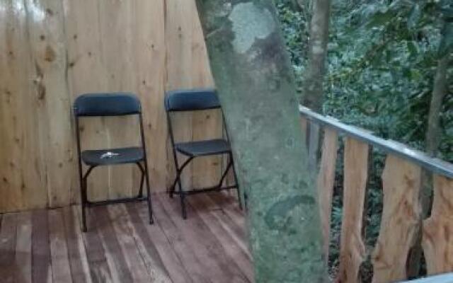 The Green Tree Lodge