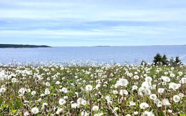 North Star Beach Suites