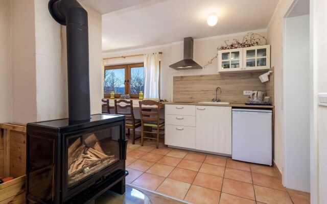 Amazing Home in Rakovicko Seliste With Wifi and 2 Bedrooms