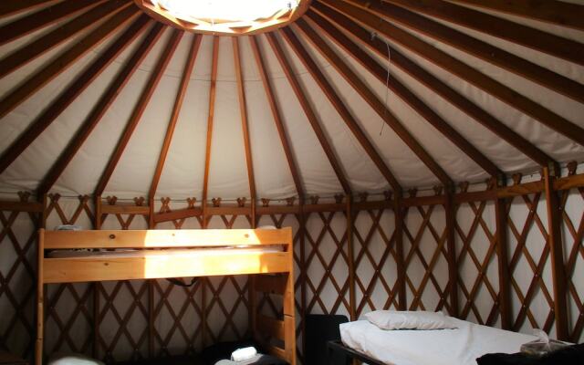 Lawson Adventure Yurts