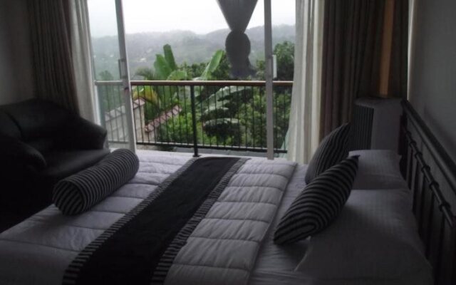 Misty Hills