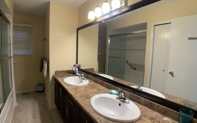 Old plum tree Style Suite