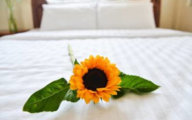 Vien Dong 2 Guesthouse