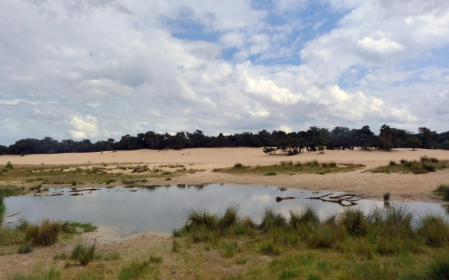 Holidaypark Duinhoeve