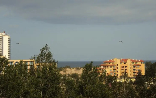 Duplex Penthouse Apartment Lipin