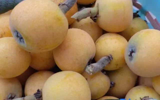 Yiqinju Homestay (Xishan Scenic Area Branch)