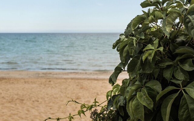 Casa la conchiglia sulla spiaggia
