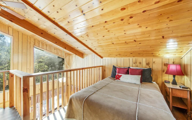 Black Diamond Vista #653