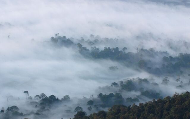 Borneo Highlands Resort