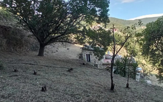 La quiete accesa